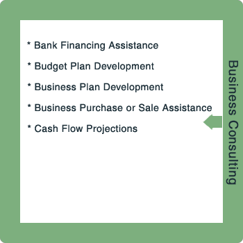 CPA Services Slide 3